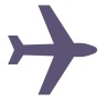 Domestic Express Shipping