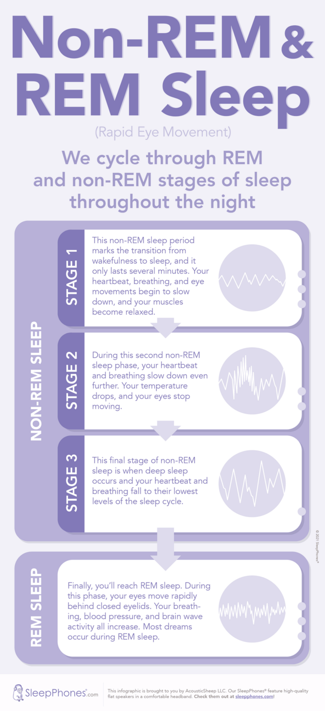 How Long Does It Take Babies To Reach Rem Sleep