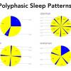 Pie charts with polyphasic sleep patterns including biphasic, uberman, dymaxion, and everyman sleep schedules